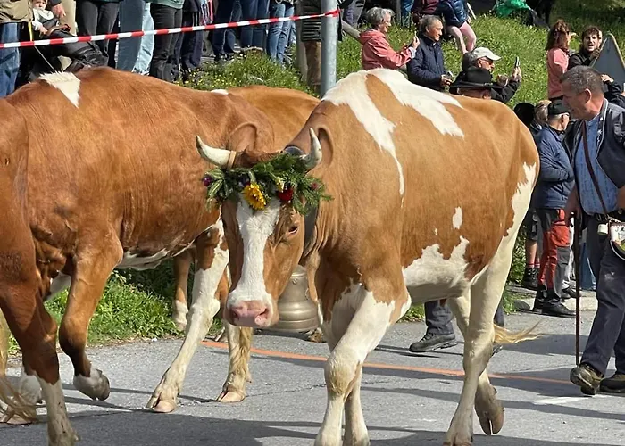 Appartamento Confortable Et 7 Personnes Alpe Des Chaux Avec Belle Vue Gryon