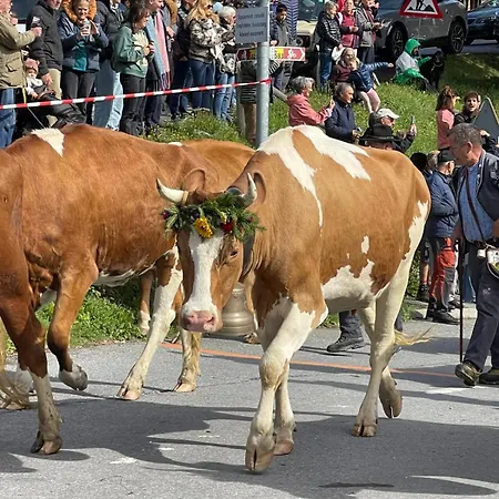 Διαμέρισμα Confortable Et 7 Personnes Alpe Des Chaux Avec Belle Vue Gryon